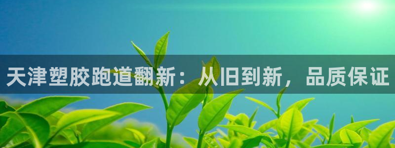 尊龙游戏官网游戏特色：天津塑胶跑道翻新：从旧到新，品质保证