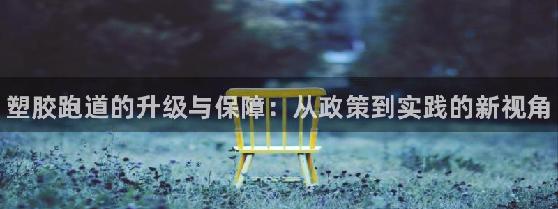 尊龙t300和t400哪个好：塑胶跑道的升级与保障：从政策到