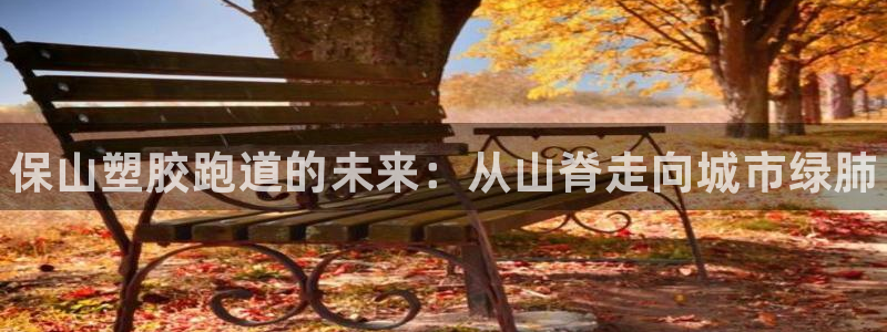 尊龙官网入口：保山塑胶跑道的未来：从山脊走向城市绿肺